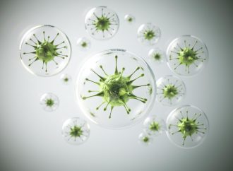 蚊子不只是煩人！5種常見蚊媒病毒一次了解